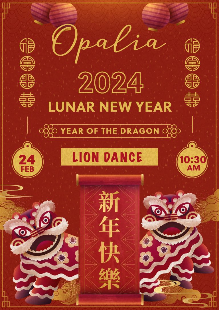 Read more about the article Lunar New Year – Lion Dance